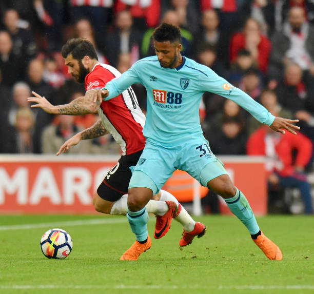 现在的托特 现在的托特